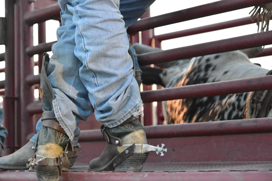 Ego 7 Bottes